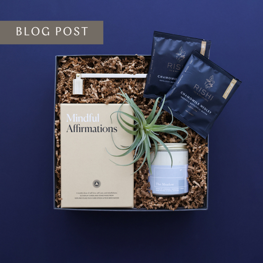 wellness gift box with meditation cards and air plant