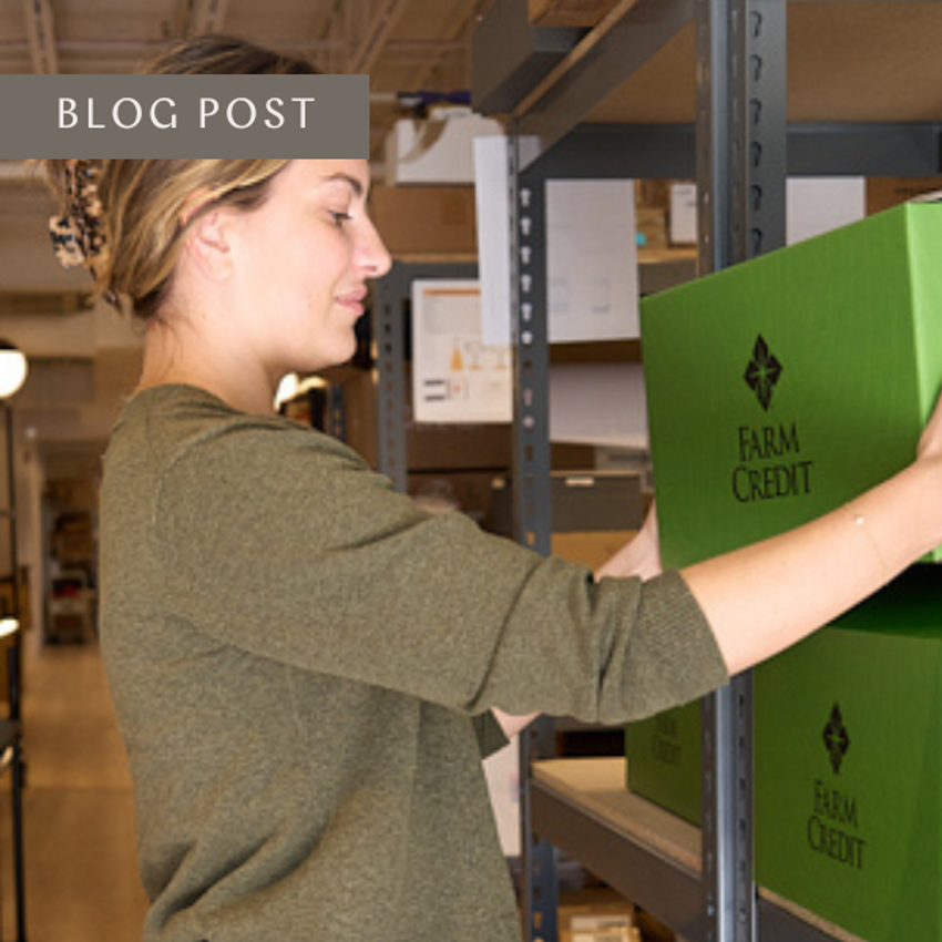 woman placing gift boxes on shelving