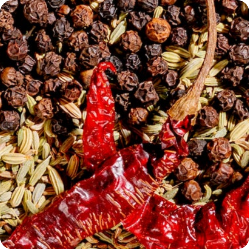 different spices close up